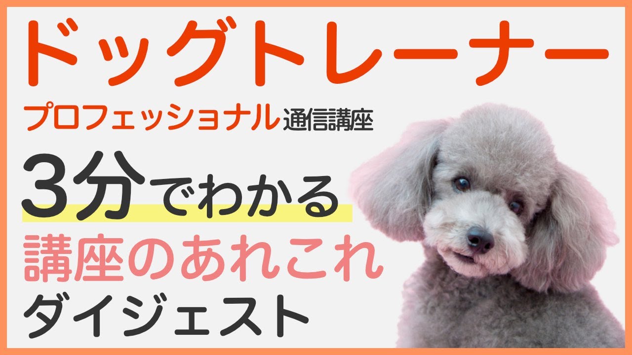 ドッグトレーナープロフェッショナル講座|通信教育講座で資格なら