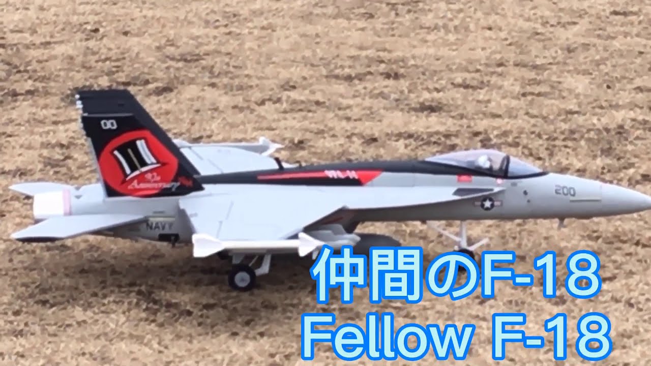 ラジコン飛行機 戦闘機 F-18 仲間の初フライトRadio-controlled