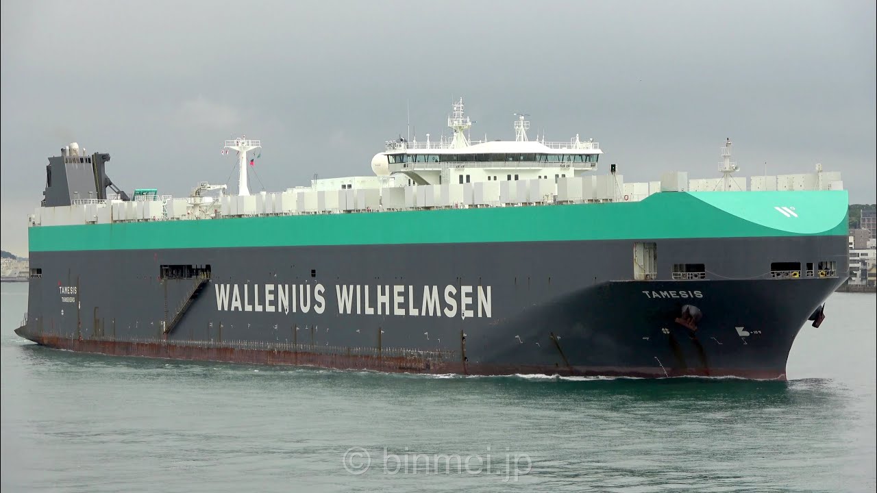 4K] TAMESIS - WILHELMSEN LINES vehicles carrier 自動車運搬船関門