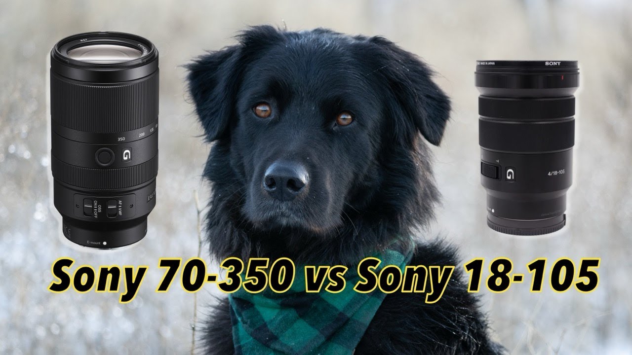 Sony 70-350 vs Sony 18-105 Lens Comparison - YouTube