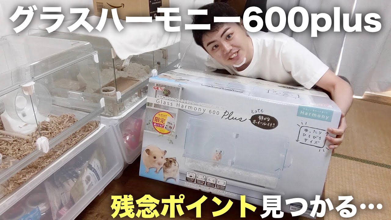 The Glass Harmony 600 Plus has arrived, which is highly