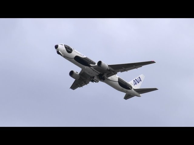 Full HD】ANA B767-300 JA606A Fly! パンダ 関西空港離陸 - YouTube