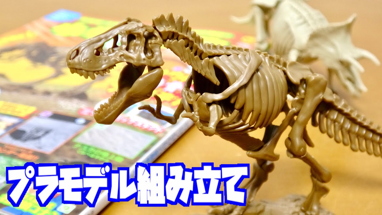 恐竜 ティラノサウルス 全身骨格プラモデル 大迫力 全長約22㎝!小学8