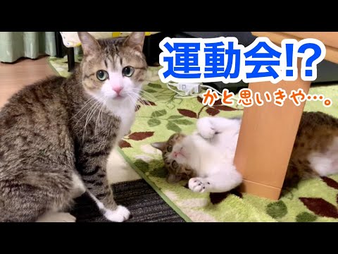 久しぶりに夜の運動会が始まると思いきや…。vol.891 - YouTube