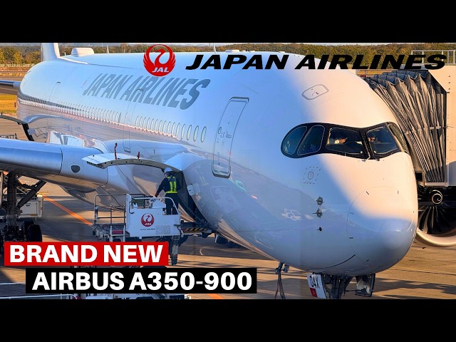 JAPAN AIRLINES AIRBUS A350-900 (Economy) | Sapporo - Tokyo