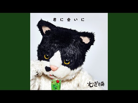 むぎ（猫） - YouTube