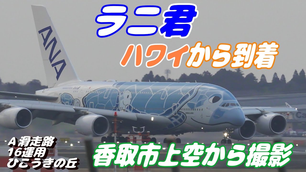 4K】成田空港 ひこうきの丘 ANA超巨大旅客機エアバスA380ラニ君 ハワイ