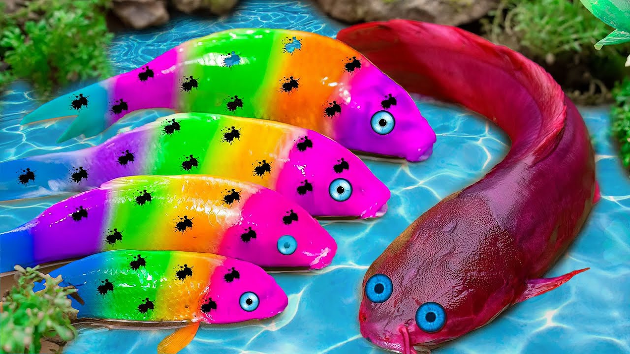 Satisfying Survival Battle Red Koi Fish Hunts An Apple That