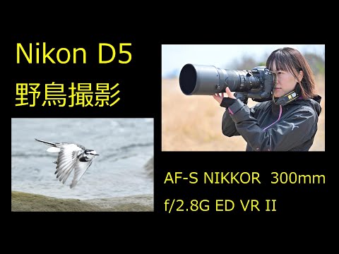 Nikon D5 AF-S NIKKOR 300mm f/2.8G ED VR II ＋ TC-14E III 野鳥撮影