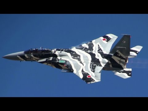 新田原基地航空祭2015 予行 アグレッサー 飛行教導群教導隊 F-15DJ