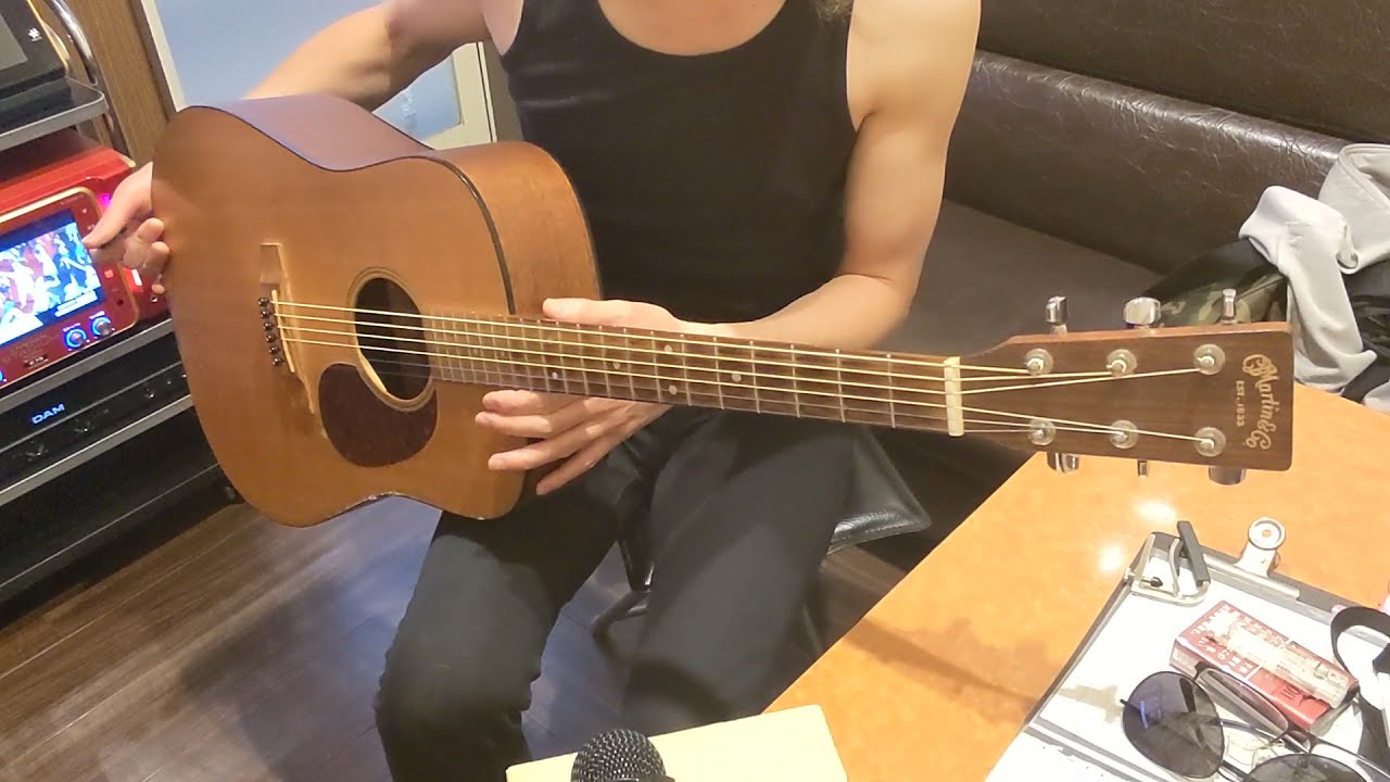 Martin & Co. DM アコースティックギター弦高調整済み Martin & Co. DM