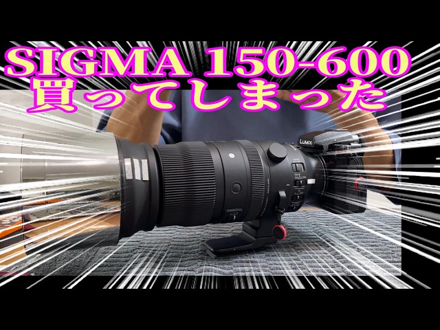 SIGMA 150-600 Sports] A beginner bought it - YouTube