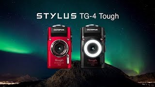 レンタル] オリンパス/OLYMPUS STYLUS TG-4｜水中/防水カメラ