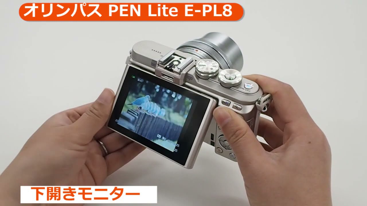 オリンパス PEN E-PL8 EZダブルズームキット ブラック | ミラーレス一眼