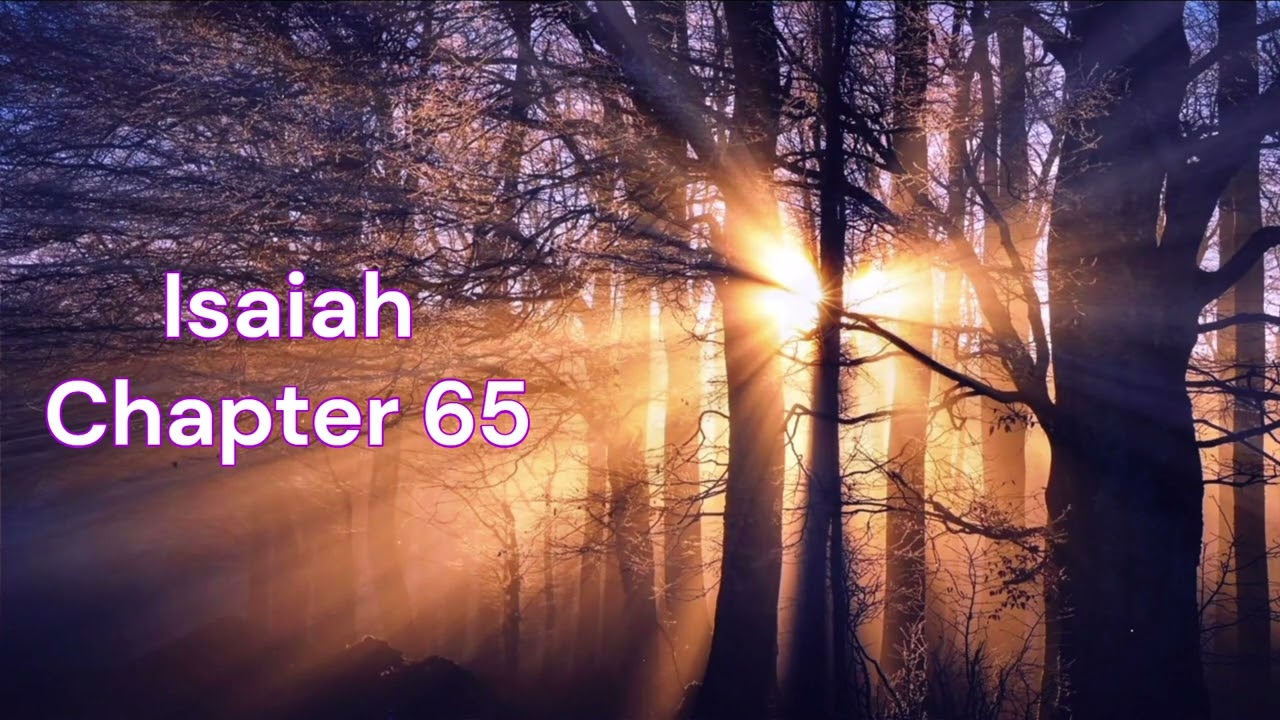 The Book of Isaiah Chapter 65 - New King James Version (NKJV