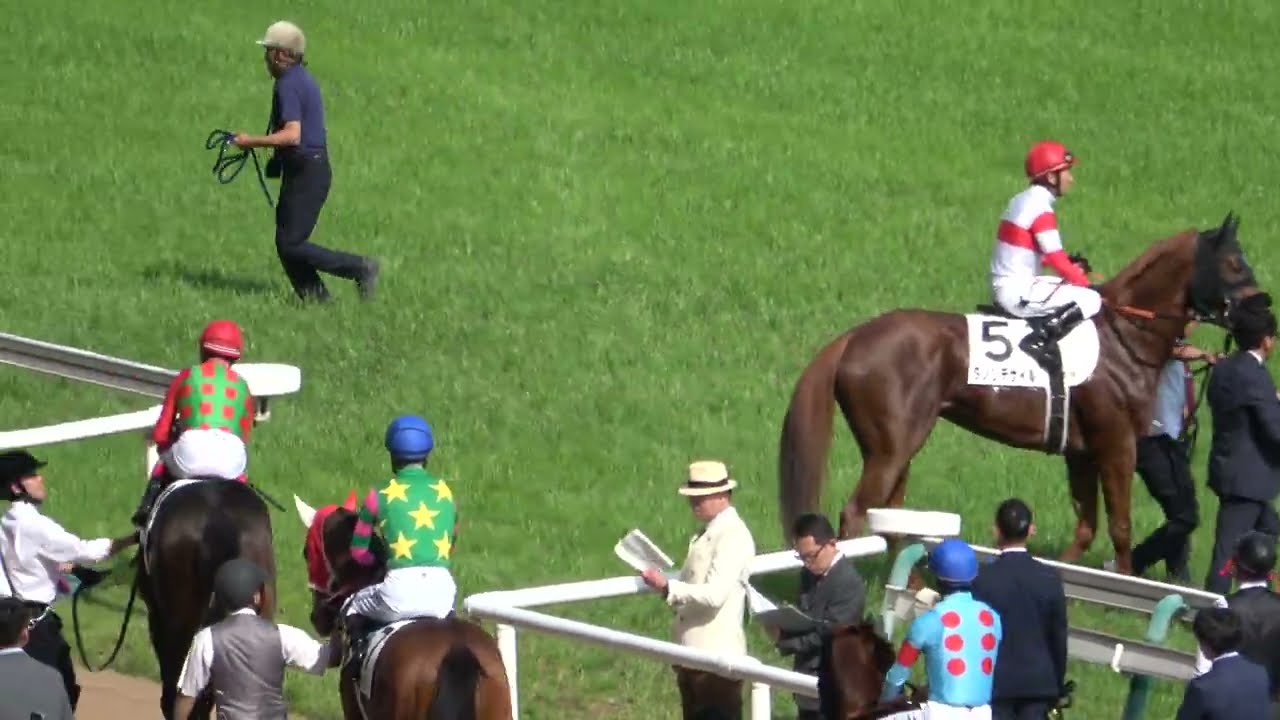 2024日本ダービー】本馬場入場 現地映像 ダノンデサイル - YouTube