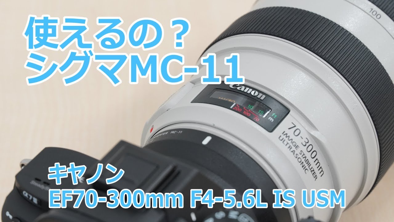 使えるの？】シグマ マウントアダプター MC-11でキヤノン EF70-300mm