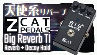 ｴﾌｪｸﾀｰ紹介 #61 Z CAT PEDALS【Big Reverb TI】 - YouTube