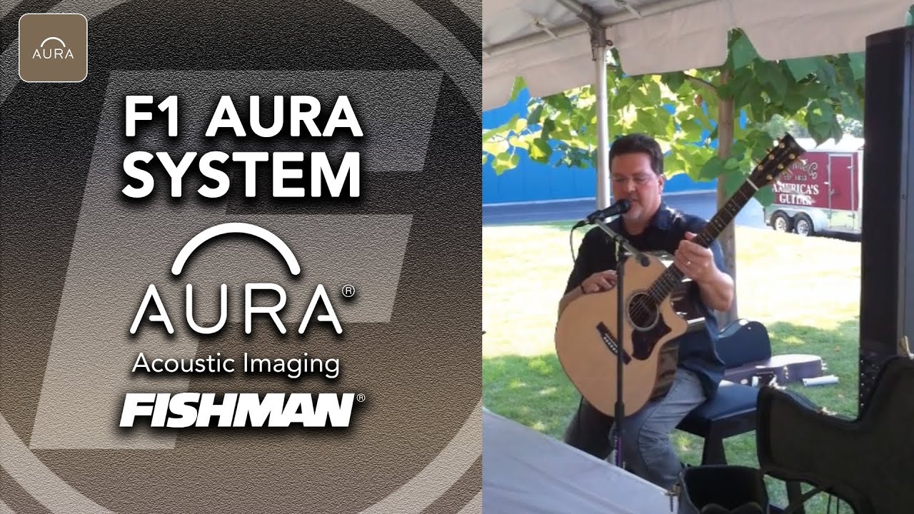 Fishman F1 Aura and C.F. Martin Performing Artist Series Guitars
