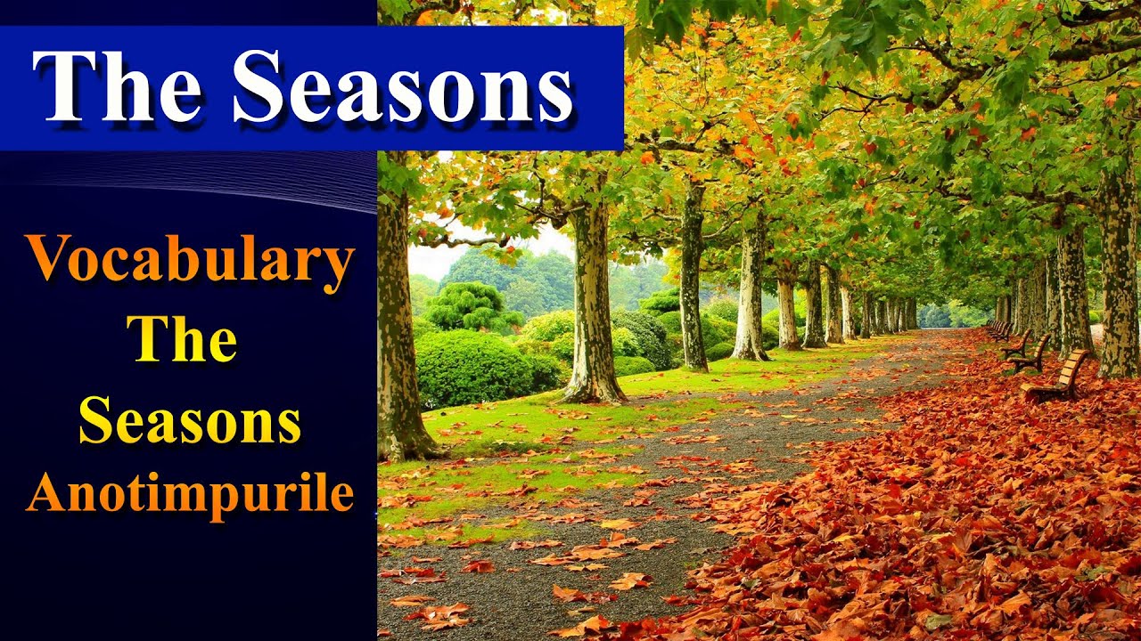 Lesson 30, Romanian for beginners , Vocabulary, The Seasons - YouTube
