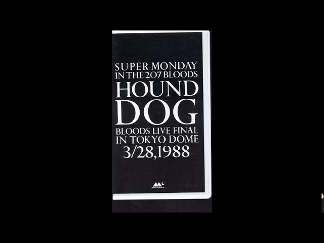 SUPER MONDAY IN THE 207 BLOODS』 ハウンド・ドッグ HOUND DOG - YouTube