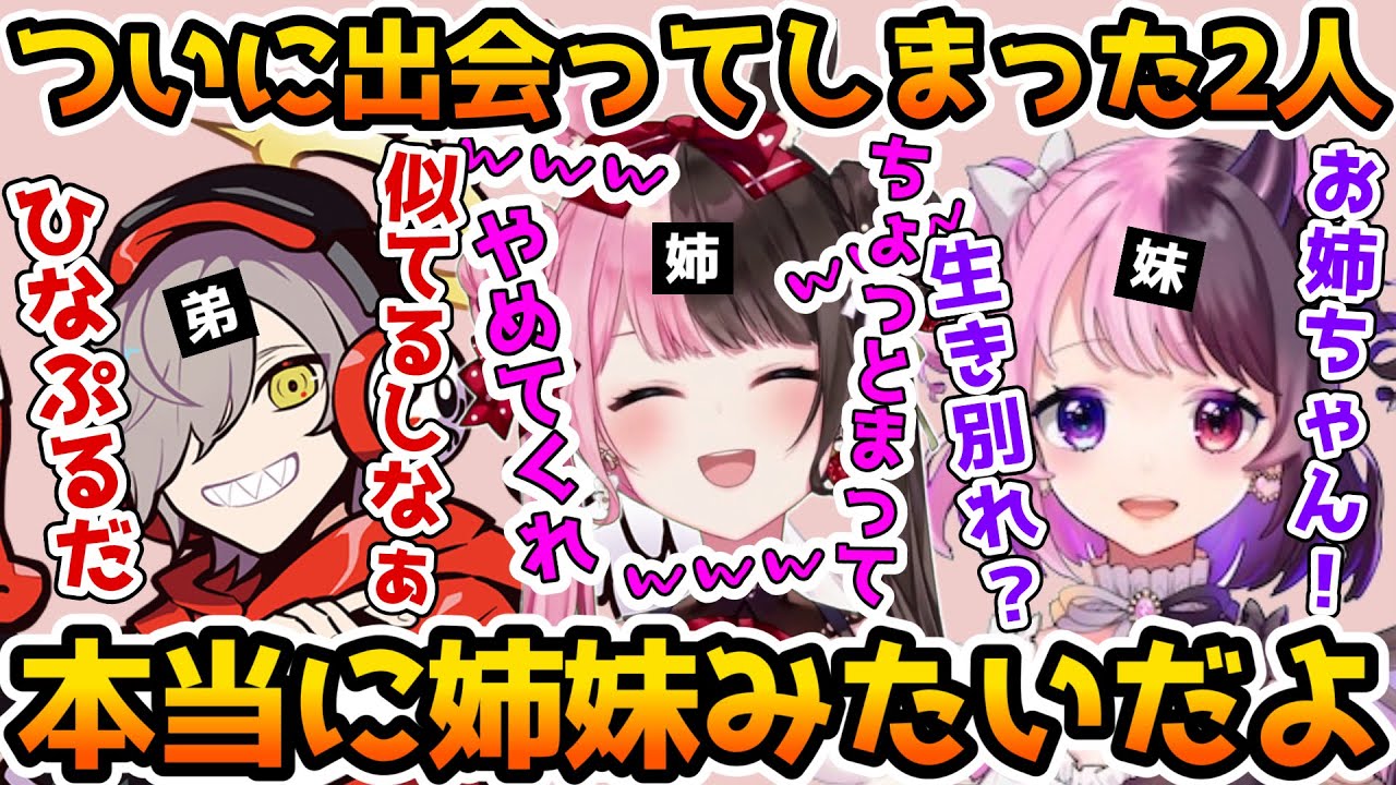 Amagi Pururu was so funny when she made Hinano Tachibana her