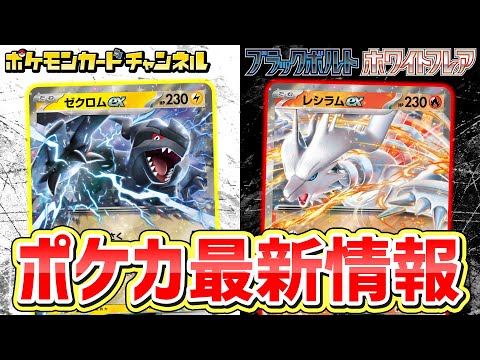 ポケカ新弾】ゼクロムex・レシラムex登場！新パックに「イッシュ地方