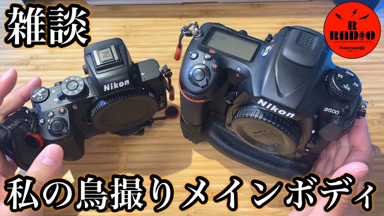 時代に逆行雑談】私の鳥撮りメイン機のD500とZ50、それぞれの良い