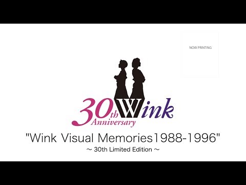 Wink Visual Memories 1988-1996 〜30th Limited Edition〜【Official
