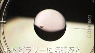 マウス生殖工学マニュアル