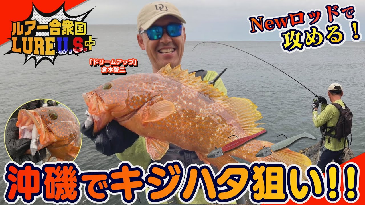 Dreem Con Three 810H RA – DreemUp