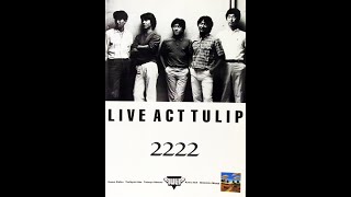 チューリップ－Live Act TULIP 2222_Someday Somewhere - YouTube