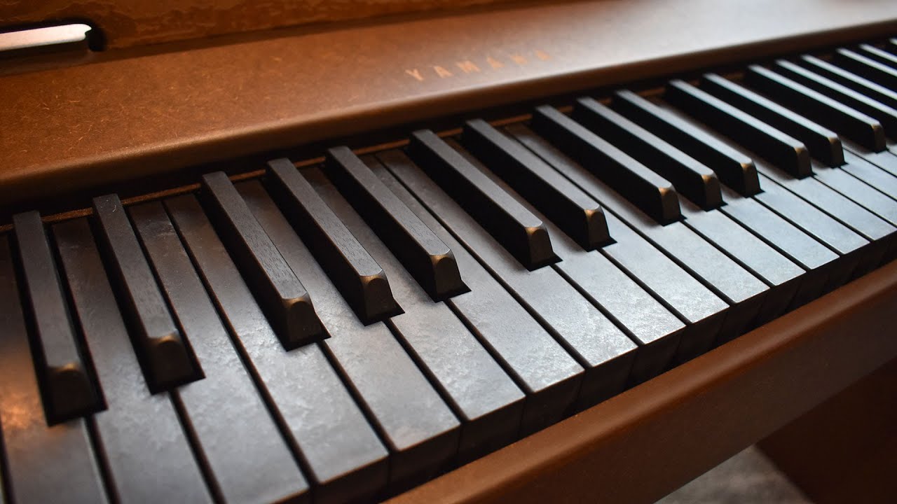 白鍵も黒い電子ピアノ」ヤマハが発売 希少木材グラナディラの未利用材