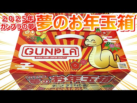 ガンプラの夢】ヨドバシカメラ 夢のお年玉箱『ガンプラの夢』福箱開封
