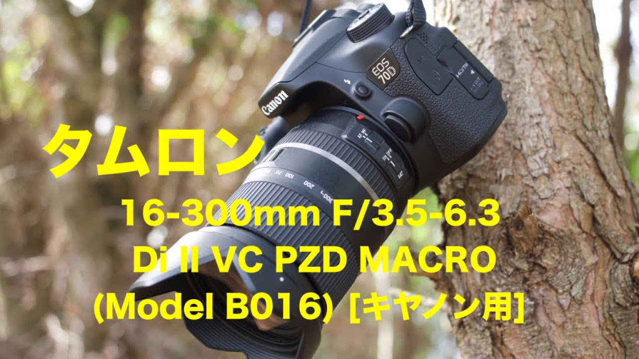 極美品✨タムロン 16-300mm B016 キャノン用❤️超・高倍率！ 16-300mm