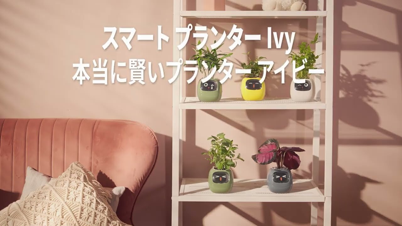 観葉植物の気持ちがわかる「スマートプランター IVY」 | Forbes JAPAN