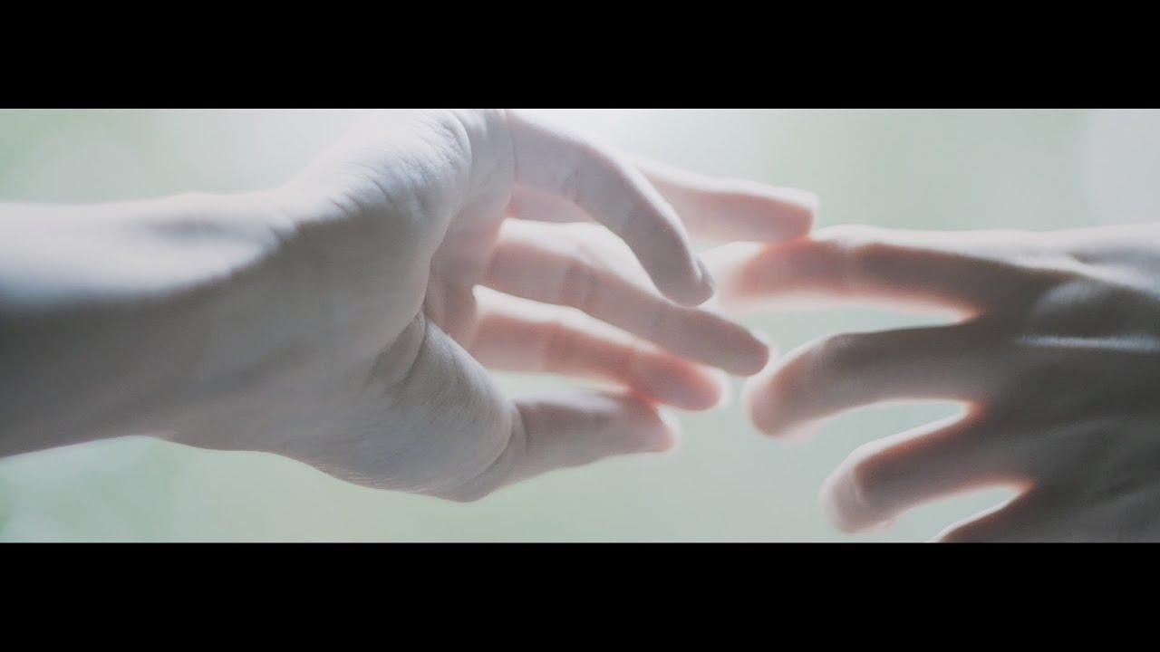 Sori Sawada「魚と猫」Music Video - YouTube