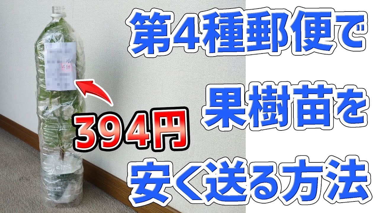 メルカリ・ヤフオク】果樹苗を第四種郵便で安く送る方法（50cm位の高