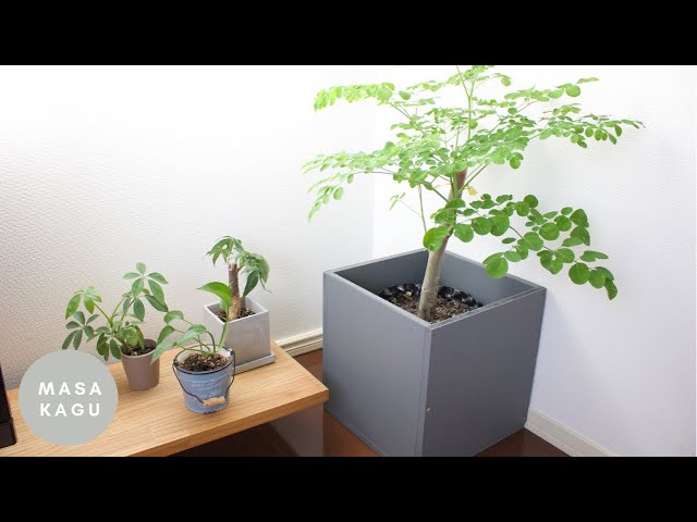 モルタル風鉢カバー//mortar pod cover - YouTube