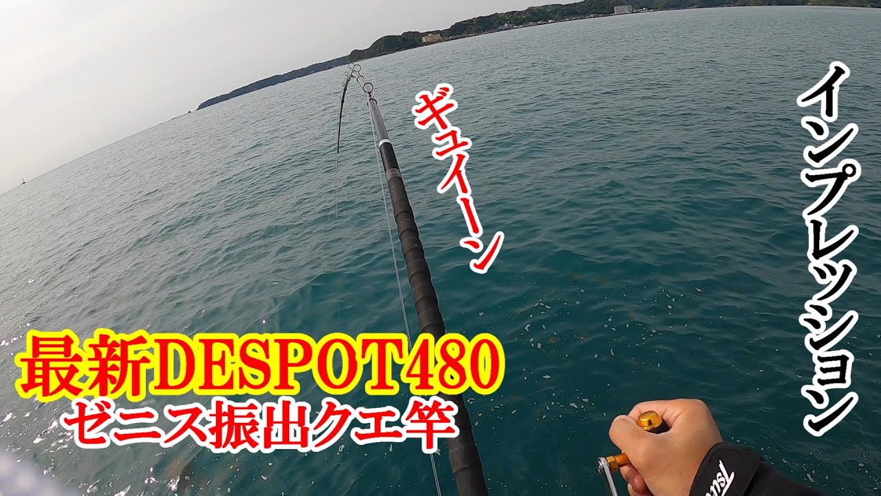 クエ釣り】ゼニスDESPOT480振出クエ竿がぶち曲がる❗️ - YouTube