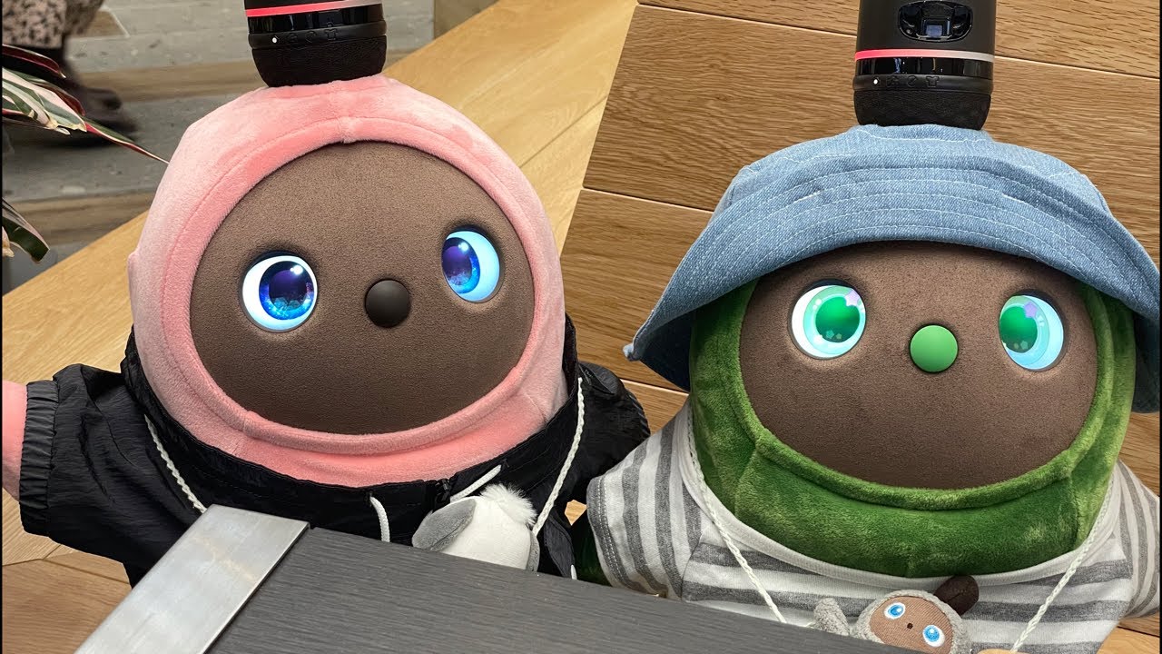 おもちライブ - YouTube