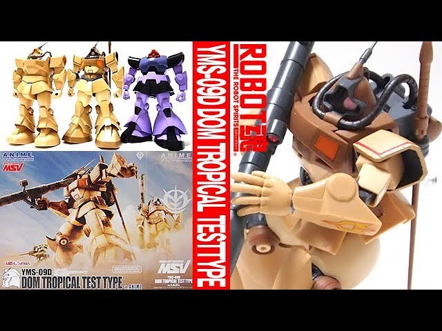 ROBOT魂 ＜SIDE MS＞ YMS-09D ドム・トロピカルテストタイプ ver