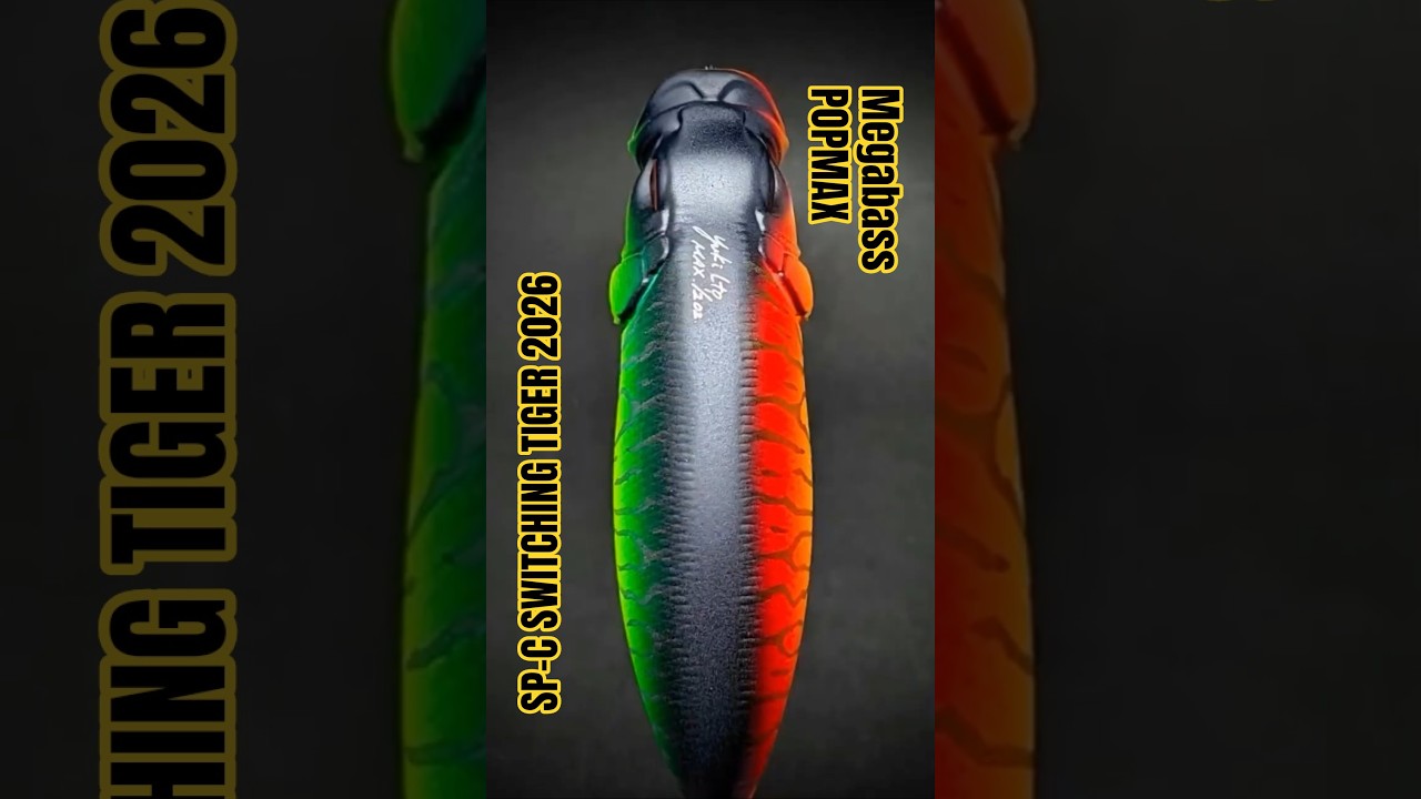 Bass Fishing] Limited Edition Asymmetrical SWITCHING TIGER 2026
