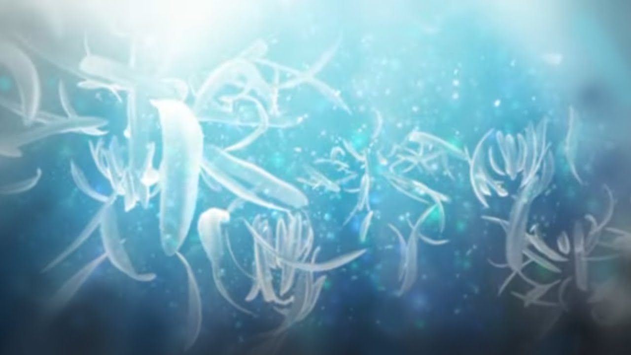 Piece of Cipher+ || ELECTROCUTICA feat.初音ミク (Official Album