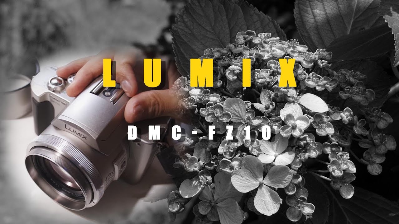 ジャンク1000円で買った19年前のデジカメで写真を撮ってみたぞい LUMIX