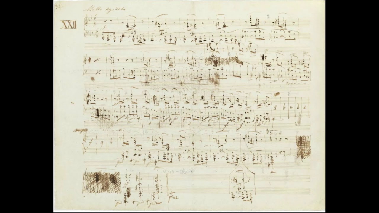 ショパン 前奏曲 第22番 ト短調 自筆譜 Preludes Op.28-22 Hideki