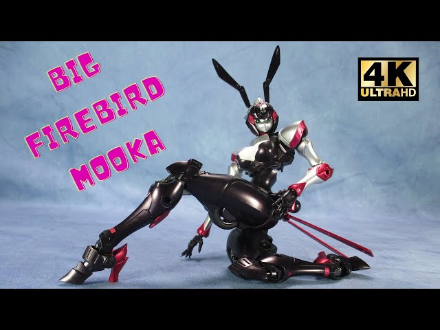 Big Firebird EX-01 Plus Mooka | ALL ACCESSORIES EXPLAINED! - YouTube