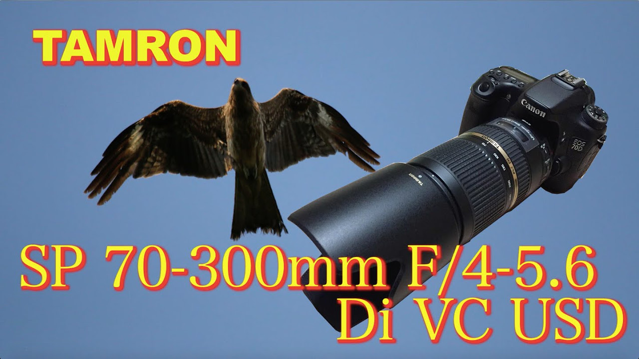 TAMRON SP70-300mm F/4-5.6 Di VC USD A005（キヤノン用)の話 VS SIGMA