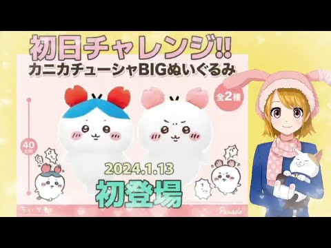 クレーンゲーム】ちいかわカニカチューシャBIGぬいぐるみ 初日