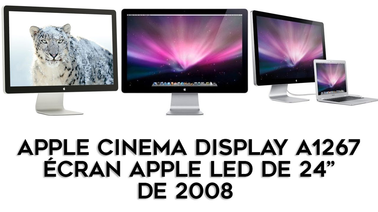 Apple Cinema Display 24-inch LED version from 2008. Apple 24'' LED